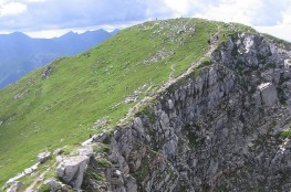 Ciemniak 